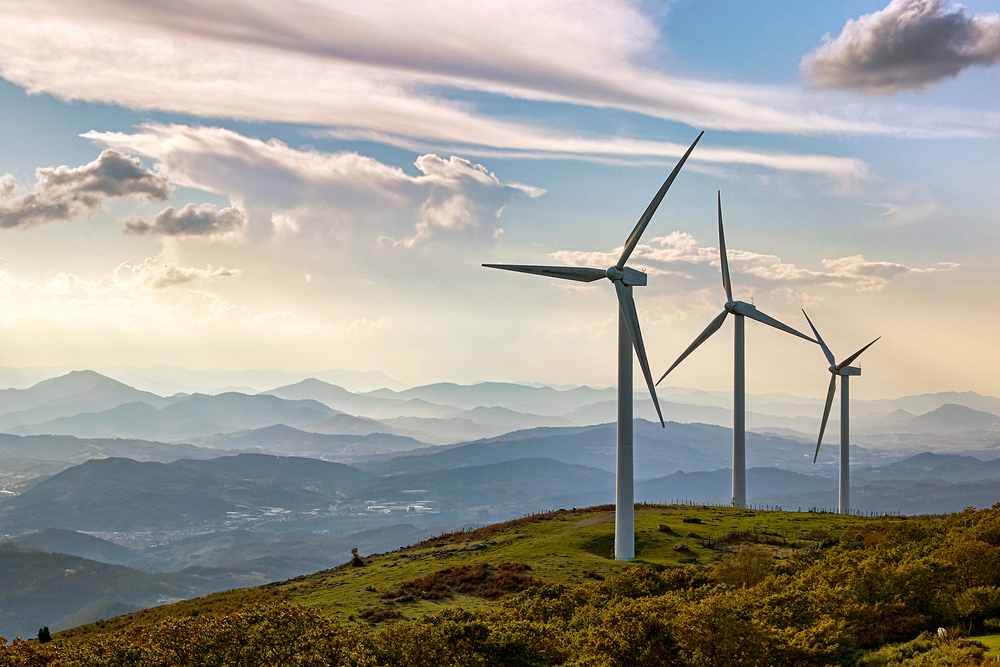 Haute-Vienne: ils enregistrent les chauves-souris pour faire échouer un projet éolien