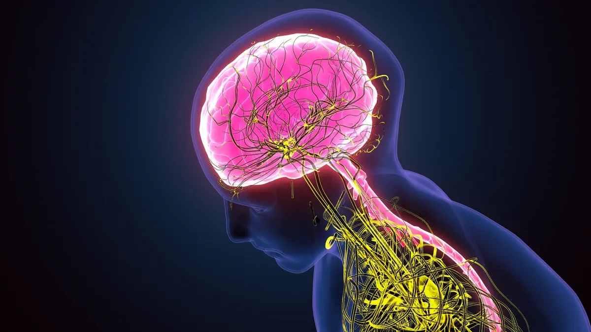 Les experts pensent que les dispositifs contrôlés par l&rsquo;esprit pourraient être courants dans les années 2040