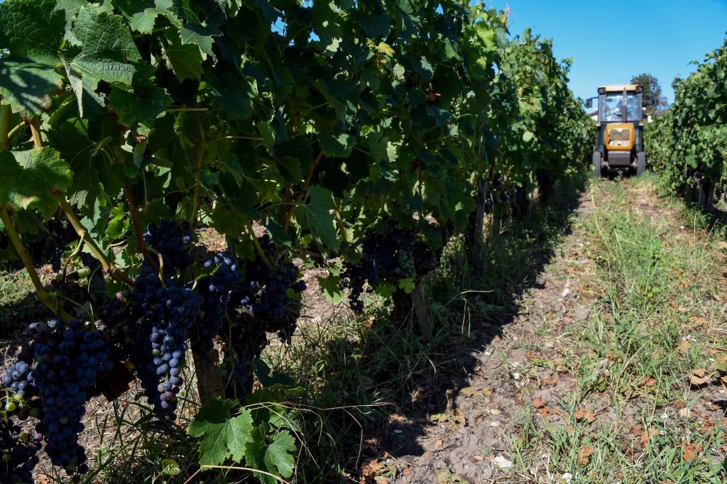 Ses tracteurs « polluent la vue » de son nouveau voisin: l’agriculteur condamné à payer 100.000 euros