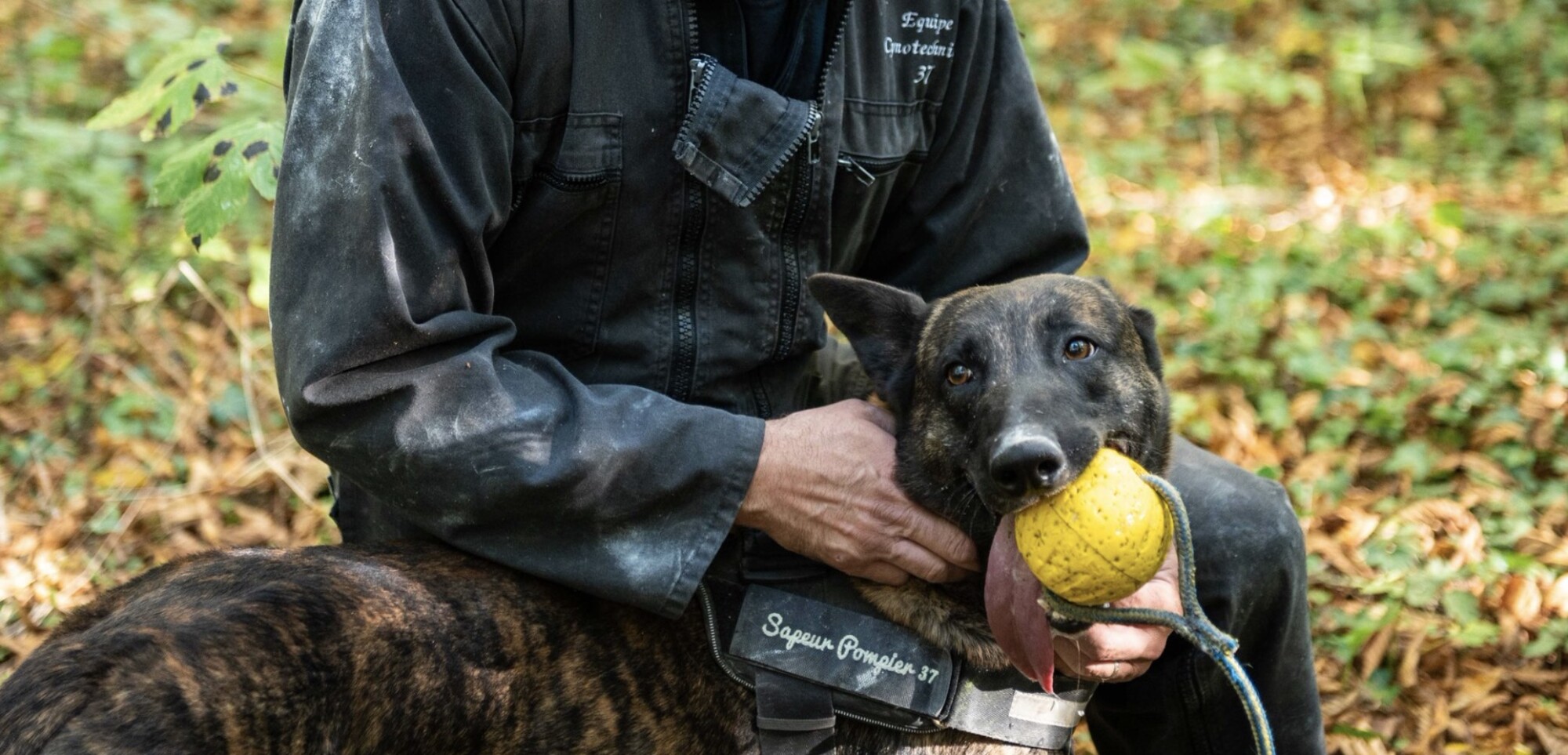 Haie d&rsquo;honneur pour Iago, chien sauveteur qui part à la retraite après 8 ans de service chez les pompiers