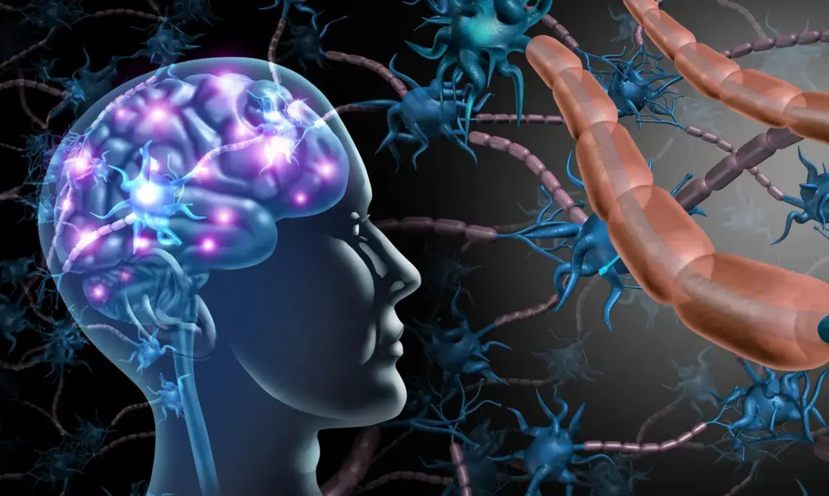 Stratégies de prévention précoce d&rsquo;Alzheimer : les experts estiment que les activités ludiques retardent le déclin cognitif