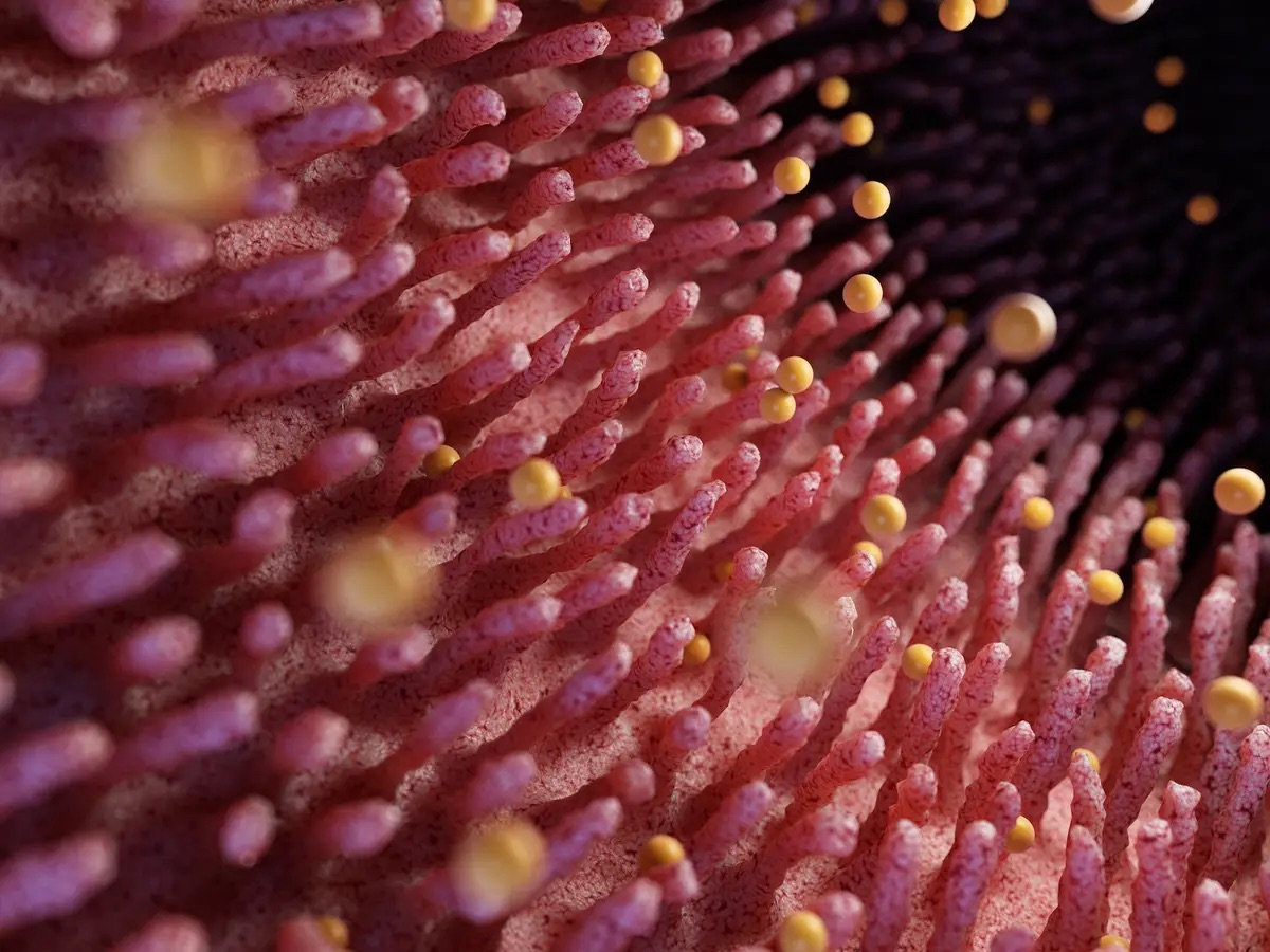 Évitez ces 5 choses pour réparer votre intestin et résoudre les problèmes d&rsquo;inconfort