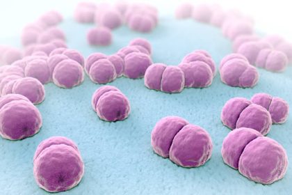 Résurgence de la méningite en France après l&rsquo;épidémie de Covid-19