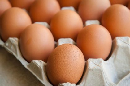 Les œufs pourraient être la clé d&rsquo;un nouveau traitement contre le Covid-19
