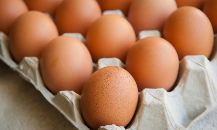 Les œufs pourraient être la clé d&rsquo;un nouveau traitement contre le Covid-19