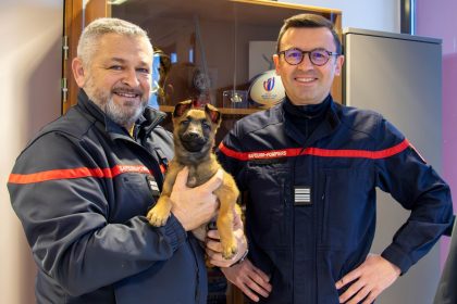 Utah, la nouvelle recrue à quatre pattes des sapeurs-pompiers de Haute-Savoie
