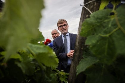 Marc Fesneau annonce 80 millions d&rsquo;euros d&rsquo;aides pour les viticulteurs