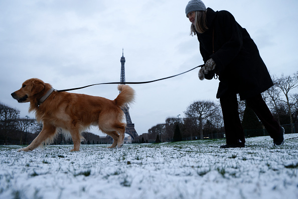 Le froid s&rsquo;accentue en France, galères d&rsquo;automobilistes en Île-de-France