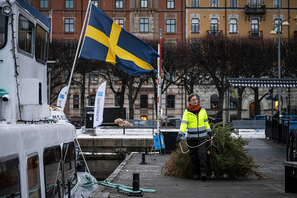 En Suède, les sapins de Noël offerts aux poissons pour frayer