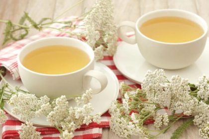 Les 5 meilleures herbes immunitaires et antivirales à cultiver chez soi