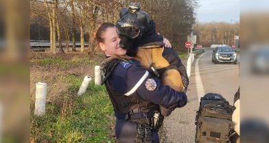 La chienne Tess, équipée comme une motarde, se fait contrôler par la gendarmerie de Côte-d&rsquo;Or