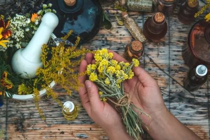 Produits phytopharmaceutiques faits maison – Comment décocter et extraire des plantes médicinales à domicile