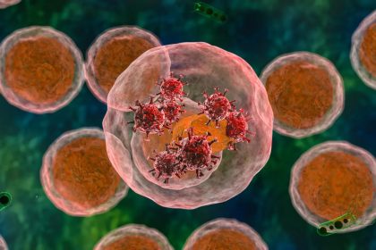 Une nouvelle maladie, le syndrome VEXAS, se manifeste après le Covid et la vaccination