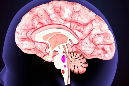 Plusieurs médicaments courants sont liés à la démence