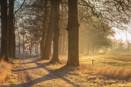 Un promeneur aperçoit d’étranges ballots au milieu d’un champ: 360 kg de cannabis découverts