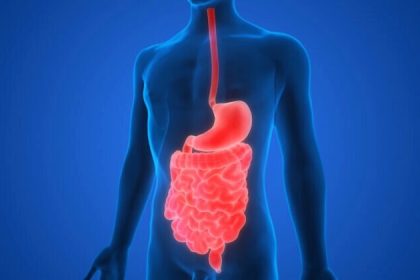 La méditation, un moyen simple et gratuit de guérir l&rsquo;intestin sans effets secondaires