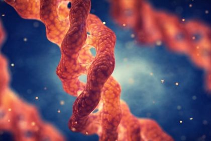 L&rsquo;engouement pour le collagène: 10 raisons convaincantes de prendre le train en marche des peptides