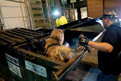 Elle s’était perdue, une octogénaire est retrouvée morte dans un conteneur à l’hôpital d’Aix