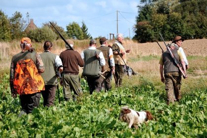 Un chasseur prend un cycliste pour un sanglier et lui tire dessus, le blessant gravement