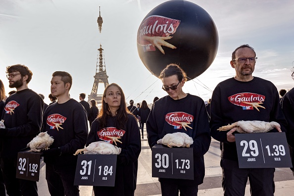 Paris: Nagui s’associe aux militants de L214 pour dénoncer l’élevage intensif des poulets