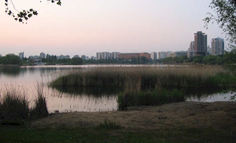 Trois personnes âgées jetées dans le lac de Créteil en une semaine, le « pousseur en série » recherché