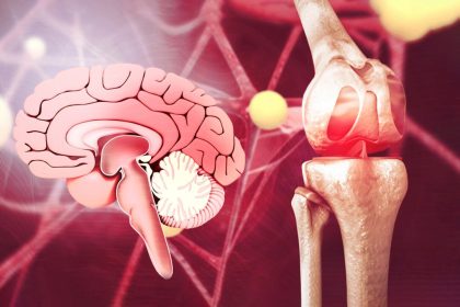 Comment la douleur chronique et l&rsquo;obésité forment un cercle vicieux