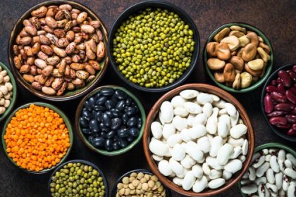 La consommation de haricots peut être bénéfique pour la santé vasculaire et intestinale