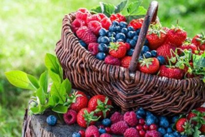 La myrtille – un purificateur vasculaire naturel qui aide à prévenir les maladies cardiaques