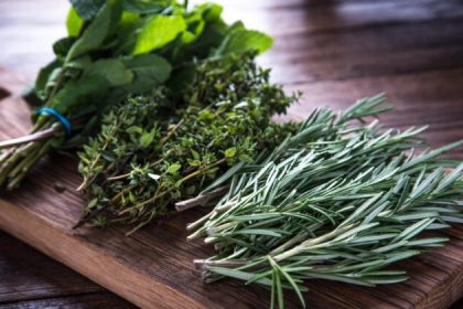 Les herbes et les épices peuvent contribuer à la protection contre les champs électromagnétiques, (CEM)