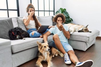 Dites adieu aux flatulences embarrassantes : signes d&rsquo;alerte et comment se soulager avec l&rsquo;acupression et des infusions