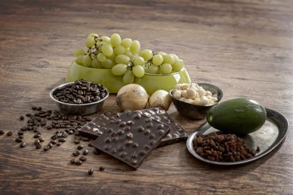 14 aliments à éviter de donner à un chien