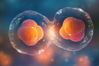 Le champ des sentiments : comment nos pensées peuvent aussi être contagieuses