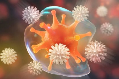 Pourquoi certaines personnes ne sont-elles jamais infectées par le Covid-19 ?