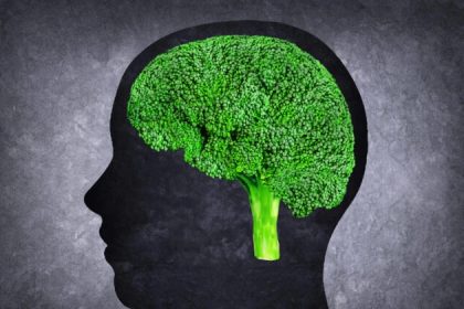 Un composé présent dans le brocoli pourrait aider à dissoudre les caillots sanguins et prévenir les accidents vasculaires cérébraux (AVC)