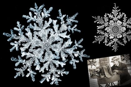 En 1885, un fermier du Vermont photographie au microscope les premières images de cristaux de neige – tout simplement éblouissant