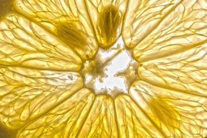 Nos choix alimentaires ont un impact profond sur la santé de notre cerveau