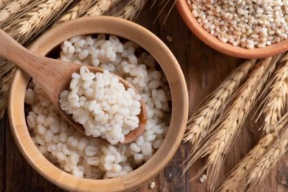 L&rsquo;orge, une céréale ancienne, peut soulager la constipation et réduire la graisse viscérale