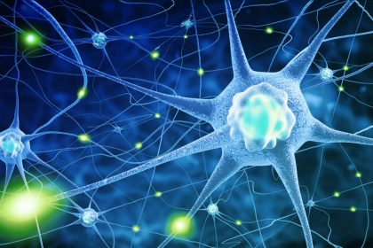 Les racines neurologiques de l&rsquo;hyperphagie boulimique