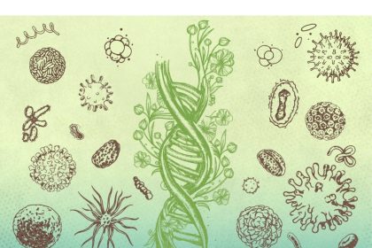 Luttons-nous contre la maladie ou donnons-nous du pouvoir à l&rsquo;organisme ?