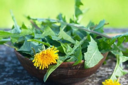 Une solution peu coûteuse mais remarquable pour la santé intestinale en provenance de la pelouse