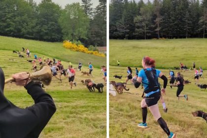 Ardèche : les sœurs de Notre-Dame-des-Neiges organisent un canitrail