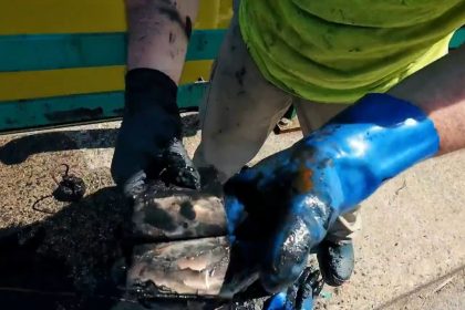 Un couple new-yorkais affirme avoir trouvé 100.000 dollars au fond d&rsquo;un étang