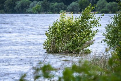 Suisse : trois personnes portées disparues après de fortes inondations