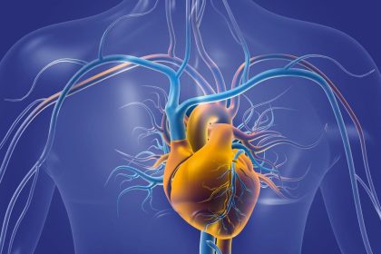 Six exercices pour aider à contrôler l&rsquo;hypertension artérielle