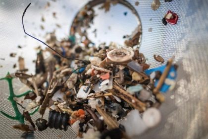 Des microplastiques trouvés dans les organes reproducteurs masculins pour la première fois