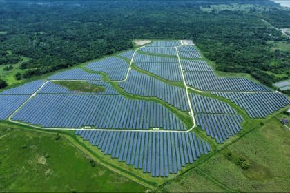 En Gironde, la justice donne le coup de grâce à un projet de parc solaire en forêt