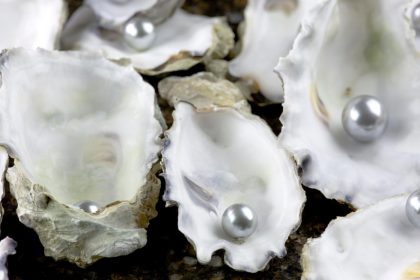 Morbihan : à 12 ans, elle trouve une jolie perle dans une huître