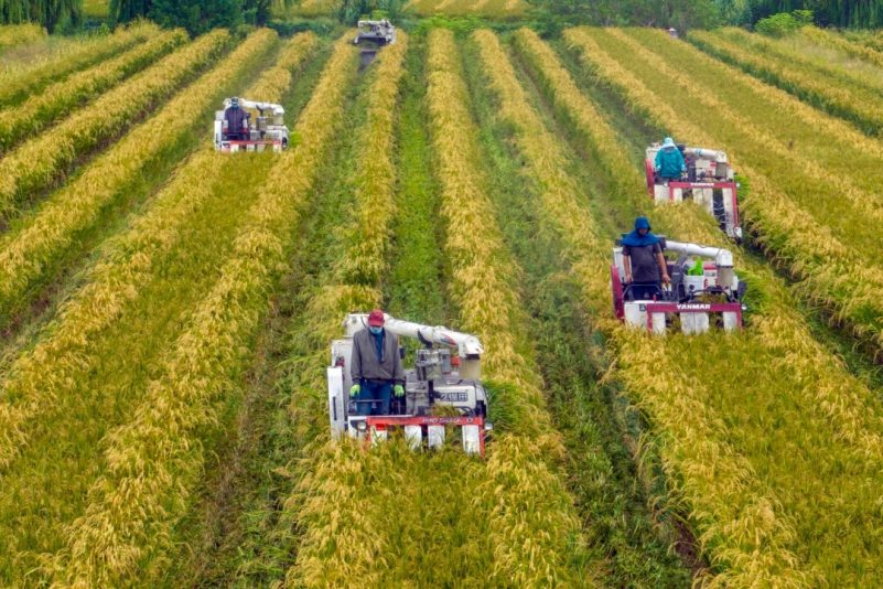 Le problème de la sécurité alimentaire en Chine
