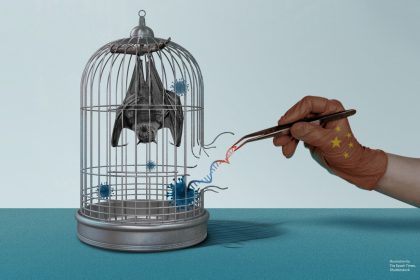 La nature établit des barrières contre les virus à risque, tandis que l&rsquo;étude chinoise sur le gain de fonction les brise