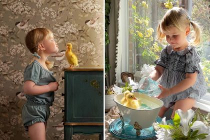 Une adorable fillette de 3 ans s&rsquo;occupe de ses canetons comme si elle était leur mère – son amour inconditionnel fait chaud au cœur